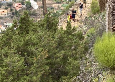 Wandergruppe beim Abstieg Vallerhermoso Roque Cano