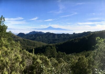 Blick auf den Teide vom Garajonaygipfel aus