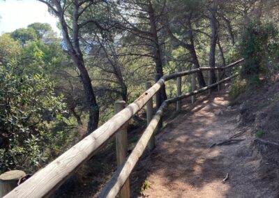 Wanderweg Cami de Ronda durch kleines Pinienwäldchen