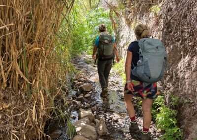 Zwei Personen in einem Flussbett mitten im Schilf beim Wandern